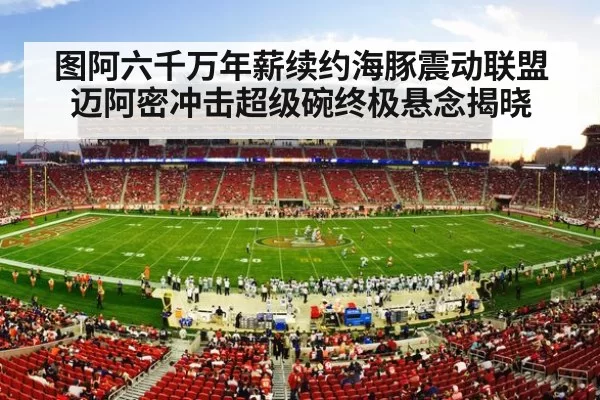 NFL football stadium action