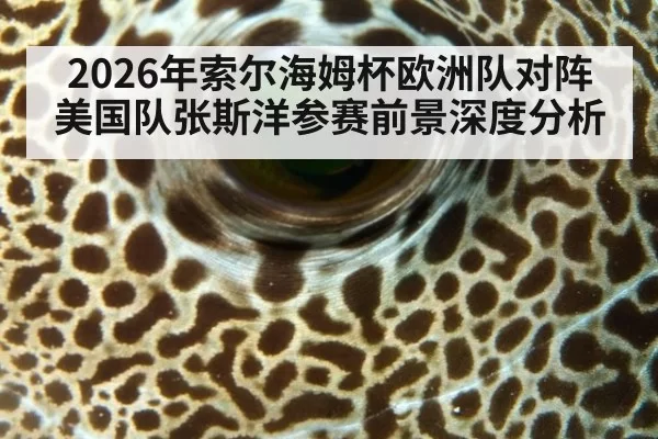 2026年索尔海姆杯欧洲队对阵美国队张斯洋参赛前景深度分析
